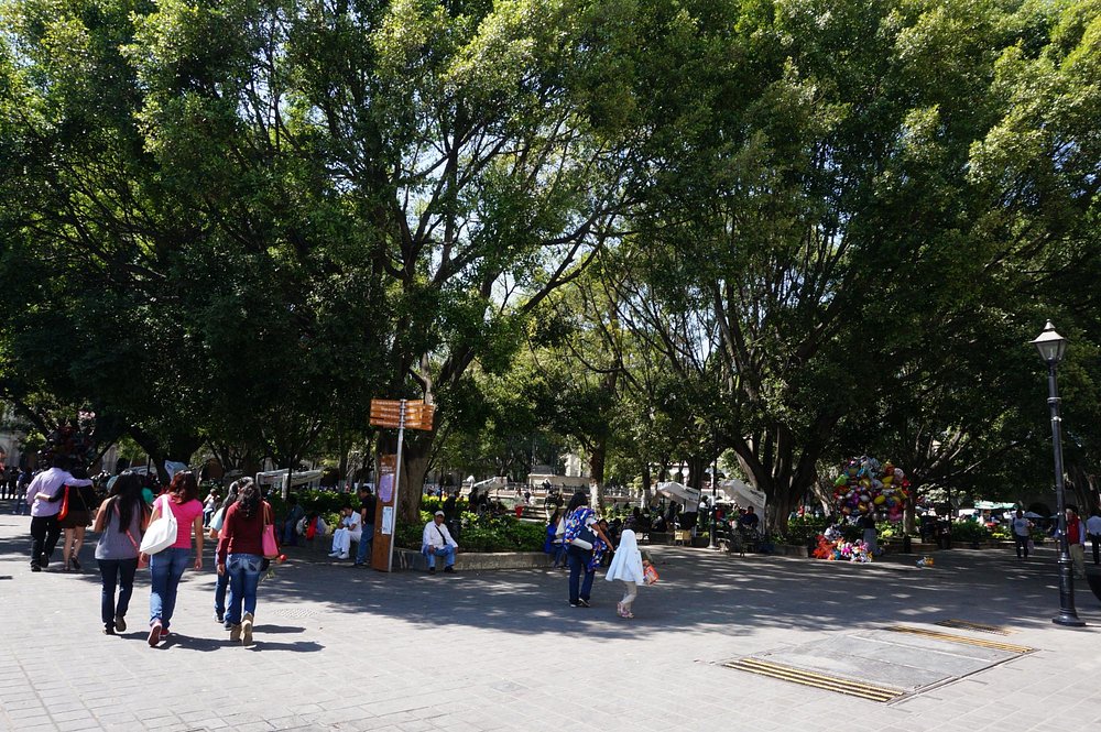 Zócalo de Oaxaca